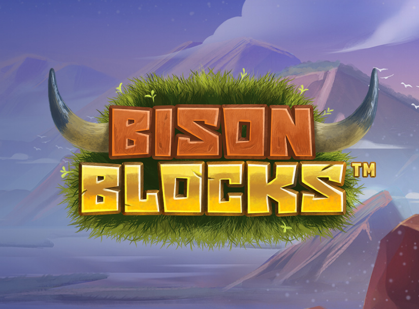 Bison Blocks